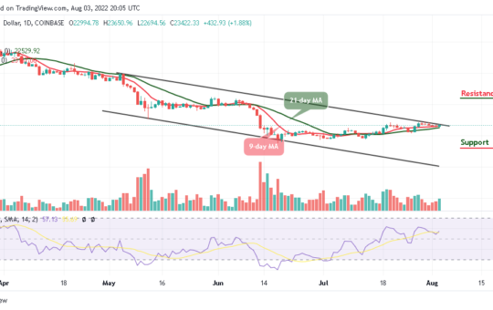 Bitcoin Price Prediction