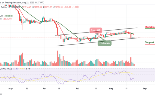 BTC Plummets Under $21,500 as Tamadoge Goes Bullish