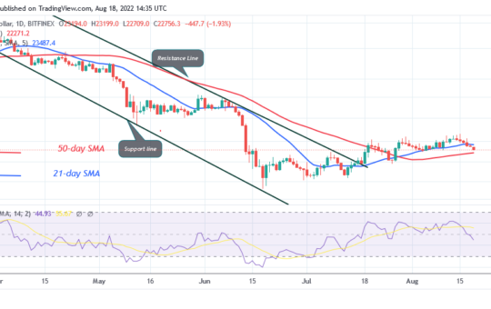 Bitcoin Price Prediction for Today August 18: BTC Price Drops as It Targets Crucial Support at $22K