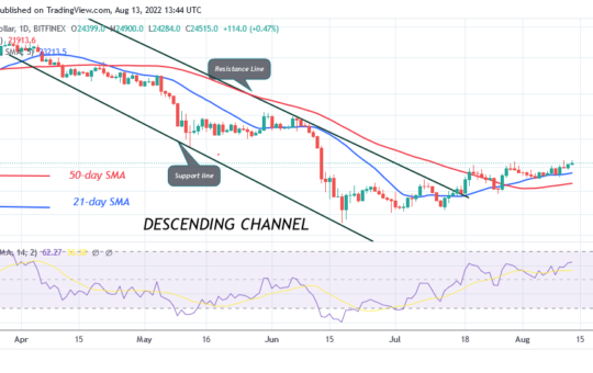 Bitcoin Price Prediction for Today August 13: BTC Price Struggles to Sustain Above $24.9K High