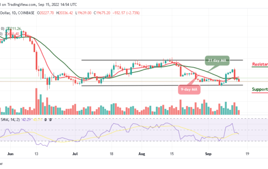 BTC Bears Could Demolish $19,000 Support as Tamadoge Corrects Upward