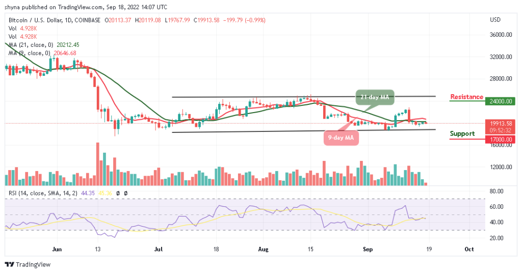 BTC Falls Below $20,000; FOMO on TAMA