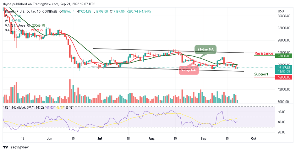 BTC May Retrace Above $20,000; TAMA is rated a BUY