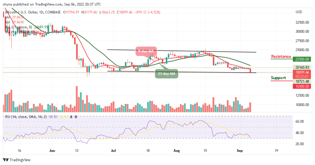 BTC Plummets Below $19,000, TAMA Explodes Skywards