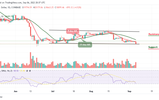 BTC Plummets Below $19,000, TAMA Explodes Skywards