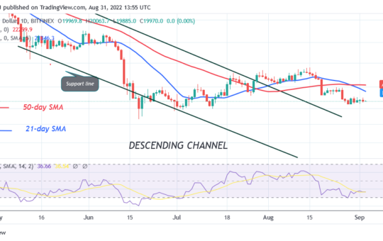 Bitcoin Price Prediction for Today August 31: Sellers Threaten to Short as Buyers Hold $19.5K Support