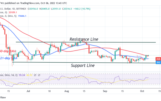 Bitcoin Price Prediction for Today October 6: BTC Price Holds above $20.1K