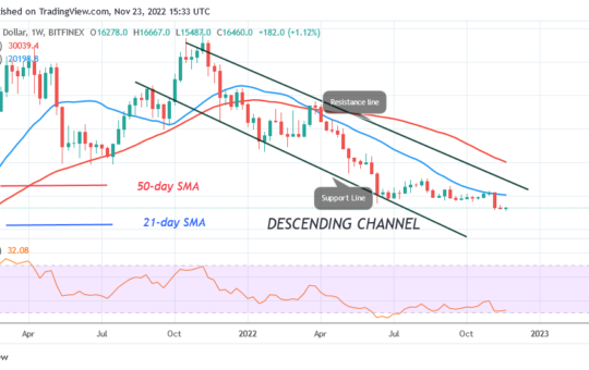 Bitcoin Price Prediction for Today, November 23: BTC Price Struggles below $17K