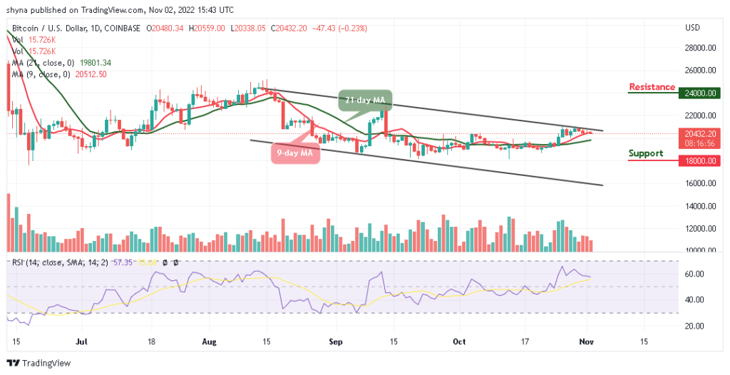 Bitcoin Price Prediction for Today, November 2: BTC/USD Price At Risk; Bulls Defend $20,000 Support