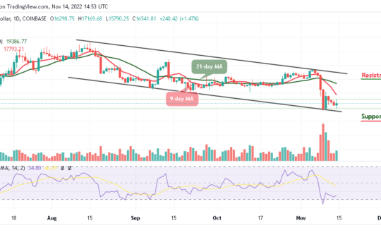 Bitcoin Price Prediction for Today, November 14: BTC/USD Rejects $18k Level