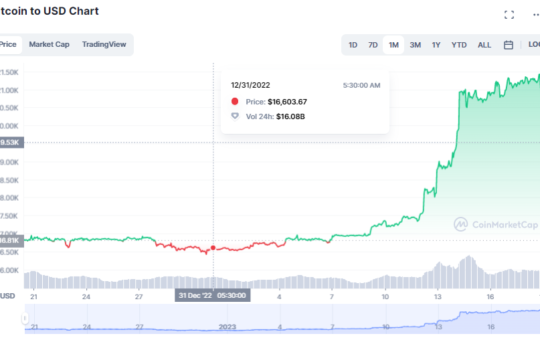 Bitcoin price January 2023