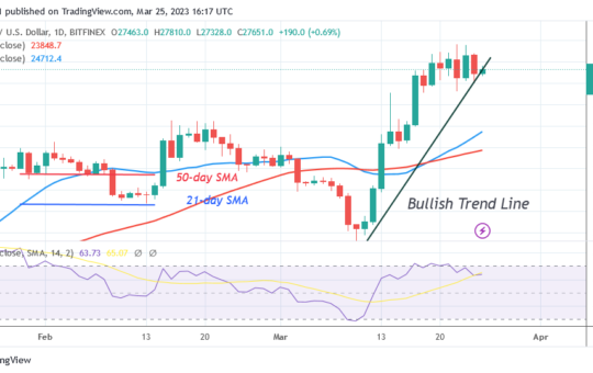 Bitcoin Price Prediction for Today, March 23: BTC Price Holds in the Interim below $28K