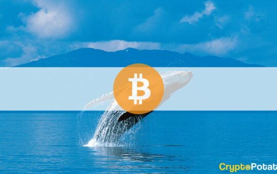 Bitcoin Whale Moves $11 Million in BTC After 12 Years of Inactivity