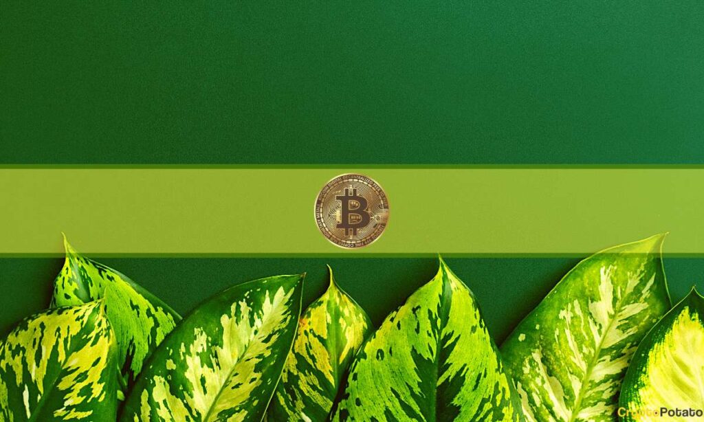 Bitcoin Showing "Promising Rise Potential" After Fed Rate Decision: Santiment