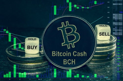 Pro delivers a $2 trillion BCH, Solana, Litecoin, Mina, Bitcoin price prediction