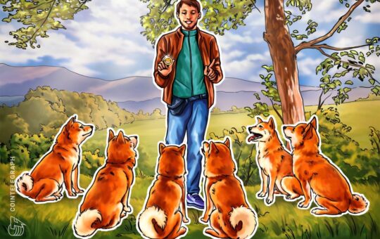 Shiba Inu's Shibarium Network resumes block production after brief pause