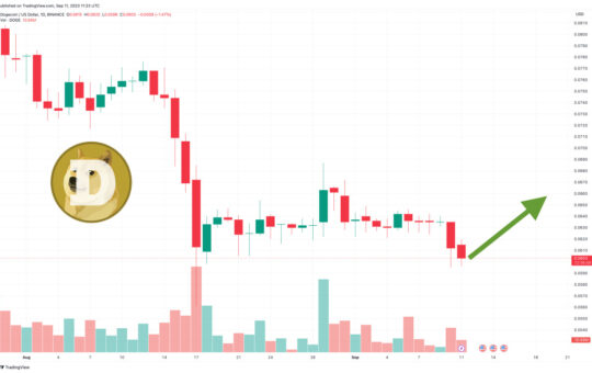 Dogecoin Price Prediction as DOGE Overtakes Cardano in Market Capitalization Rankings – Time to Buy?