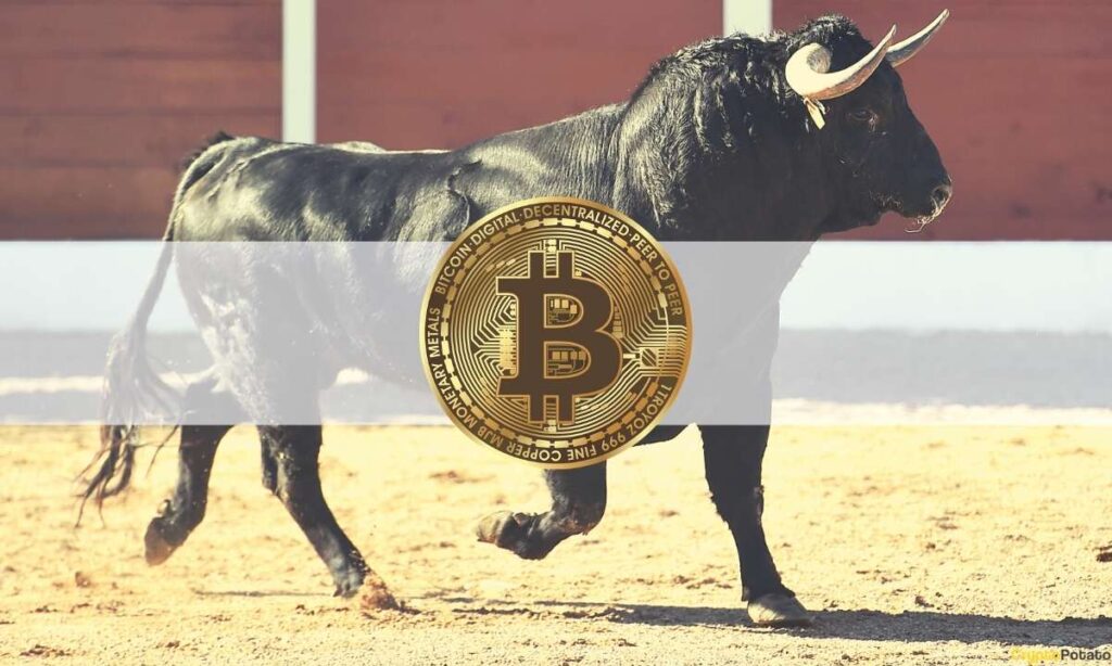 Bitcoin Hodler Growth Comparable to 2017 Cycle, Will BTC 10x in Next Bull Run?
