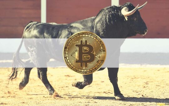 Bitcoin Hodler Growth Comparable to 2017 Cycle, Will BTC 10x in Next Bull Run? 