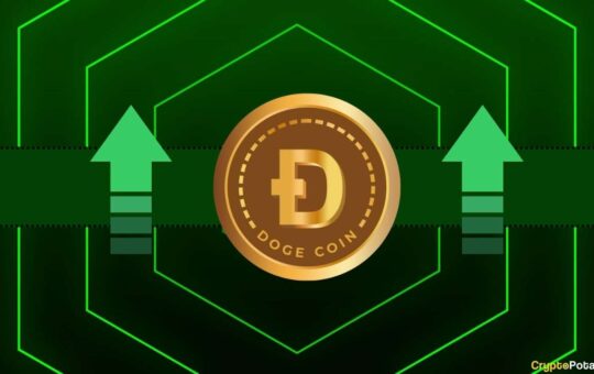 Dogecoin Price Would Likely Pump on Bitcoin ETF Approval (Op-Ed)