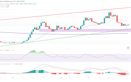 Is It Too Late to Buy THORChain? RUNE Price Spikes Up 12% as Telegram Crypto Casino Project Approaches $1 Million – How to Buy Early?