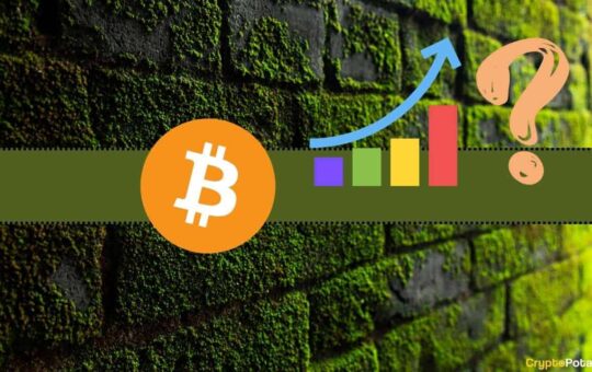 Could Bitcoin (BTC) Finish 2023 Above $40K? This Analyst Chips in