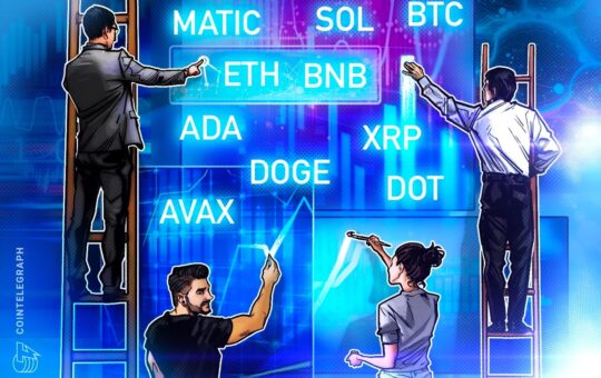 BTC, ETH, BNB, XRP, SOL, ADA, DOGE, AVAX, DOT, MATIC