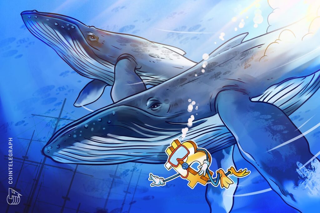 Bitcoin whales aim to reclaim $42K after BTC price dives over 3%