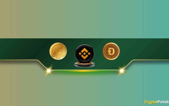 Important Binance Announcement That Concerns Cardano (ADA) and Dogecoin (DOGE) Traders