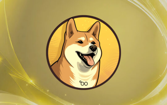 Dogecoin20 Meme Coin Launches ICO and Raises $200K Within Hours